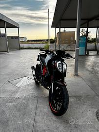 duke 125 2022