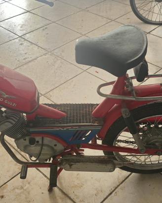 moto guzzi dingo