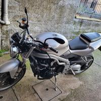 Triumph Speed triple 955i 