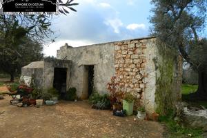 ANTICA LAMIA con TERRENO 8000mq - AGRO DI CEGLIE M