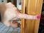 Immagine 3