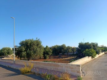 Terreno edificabile