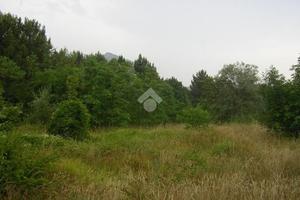 TER. AGRICOLO A SAN PAOLO BEL SITO