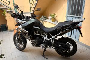 Triumph 900 rally pro