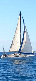 Barca a vela 780