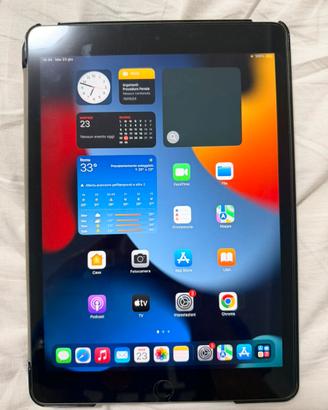 Apple Ipad 9