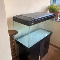 Acquario marino 240 litri + extra