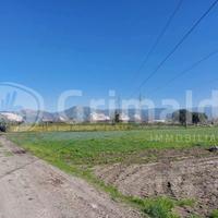 Terreno Agricolo Brusciano [Cod. rif 3297366VCG]