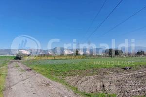 Terreno Agricolo Brusciano [Cod. rif 3297366VCG]