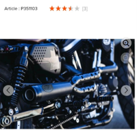 Scarico rsd Vans e hines per Harley Davidson sport