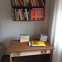 scrivania e libreria ragazzi