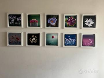 Fotografie su tela in cornice