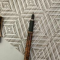 penna stilografica aurora