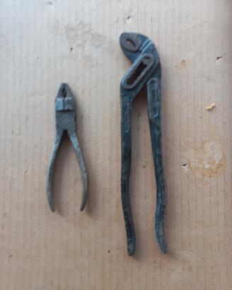 pinza a papagallo e pinza normale 