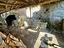 Immagine 25