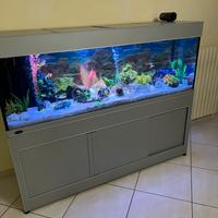 Aquario 450l