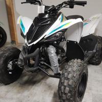 Quad YAMAHA YFM 90cc ruote da 8