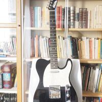 Telecaster Wilkinson (a pezzi)