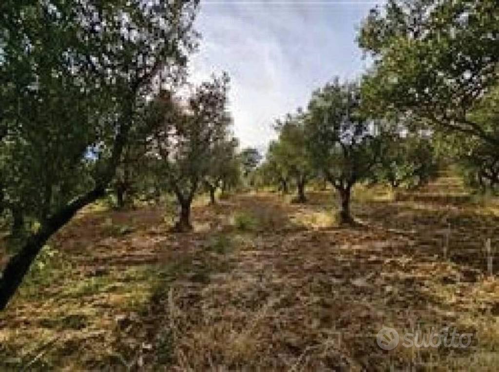 Immobile in asta di 19088 m² a Santa Sofia d'Epiro - Altro