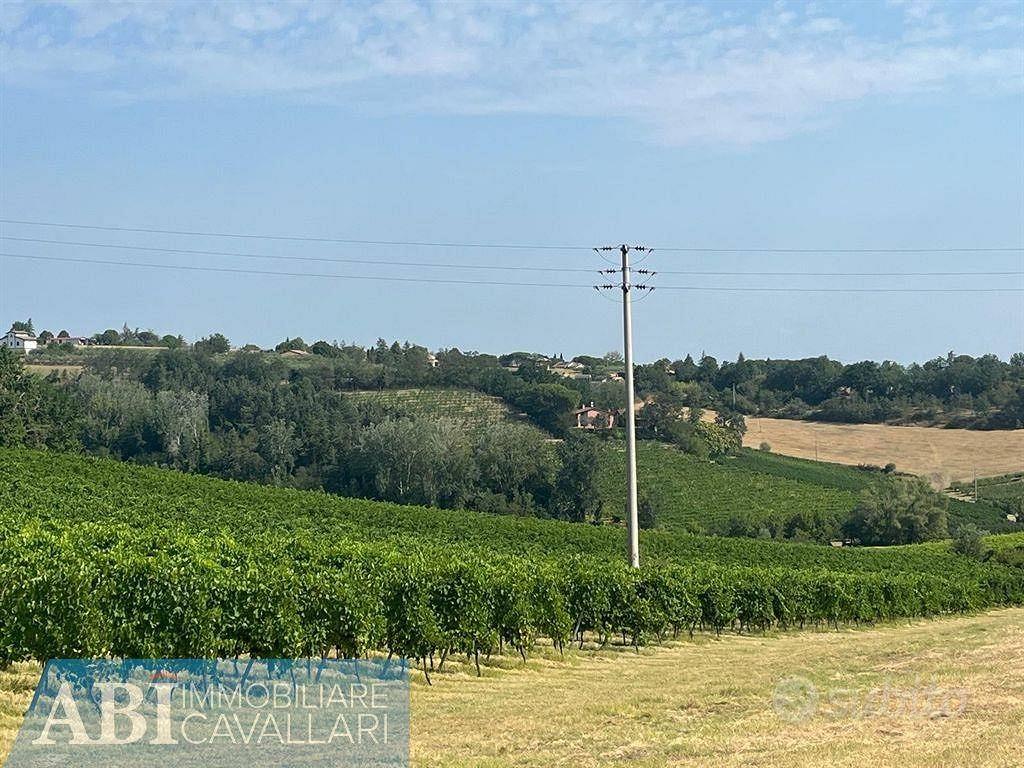 Terreno di 230000 m² a Imola - Vista 3