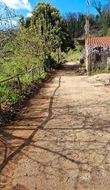Casolare in campagna con ampio terreno coltiv