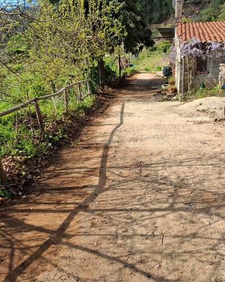 Casolare in campagna con ampio terreno coltiv