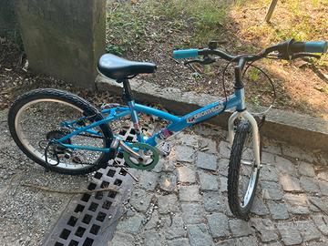 Bicicletta mountain bike