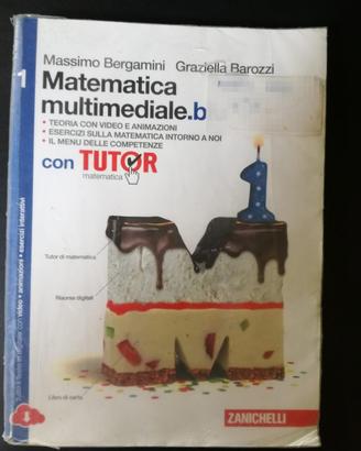 Matematica multimediale blu vol. 1