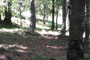 Terreni agricoli e rustici