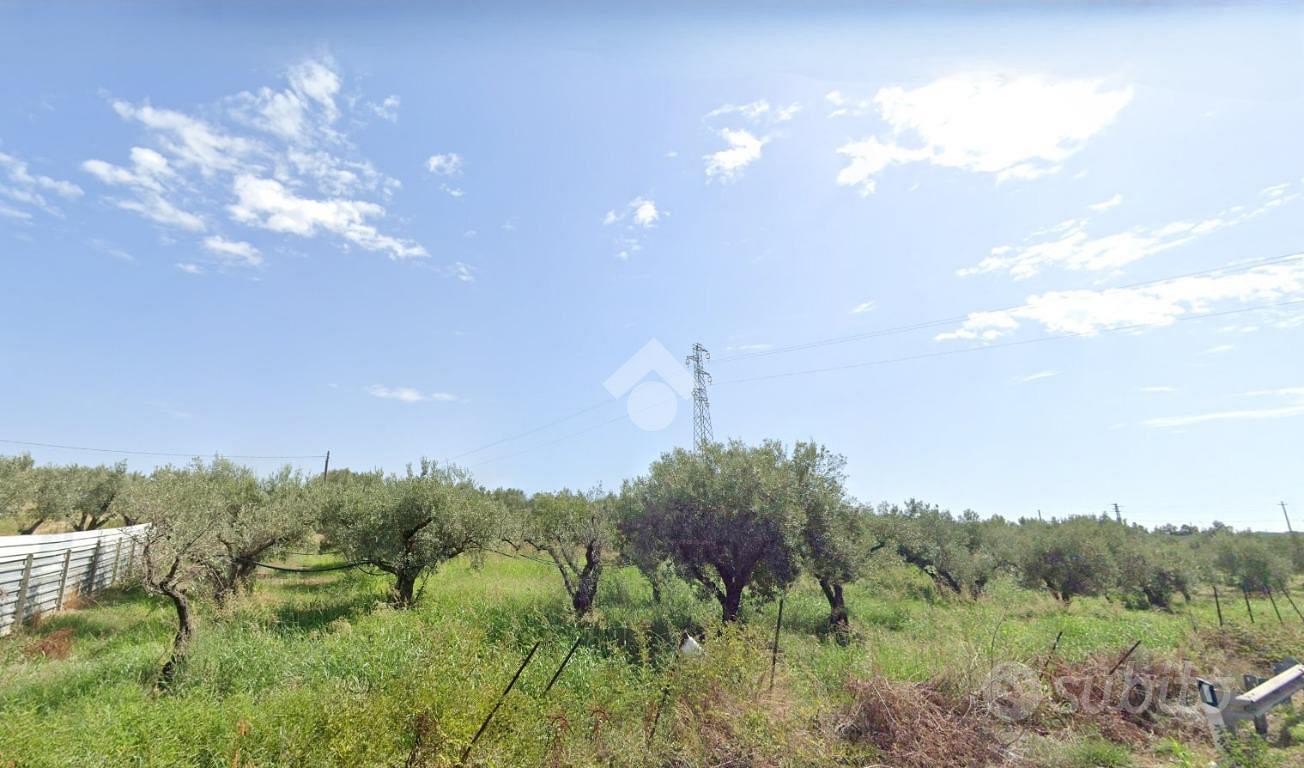 TER. AGRICOLO A CATANZARO - Vista 4
