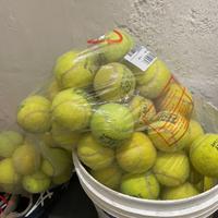 30 palline da tennis, per cesto o allenamento / la