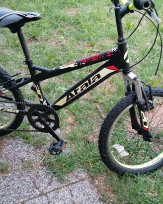 Fantastaca bicicletta Atala