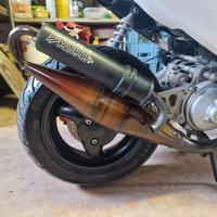 Marmitta Polini scooter team 4 Minarelli orizz.