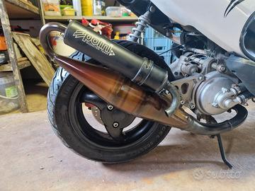 Marmitta Polini scooter team 4 Minarelli orizz.