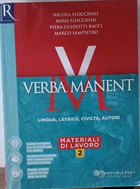 Nicola Flocchini, Verba Manent