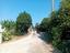 Immagine 11