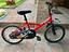Immagine 4