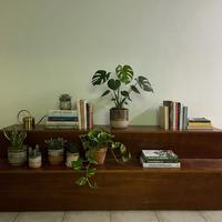 Set Panche Espositori in Legno con Rotelle