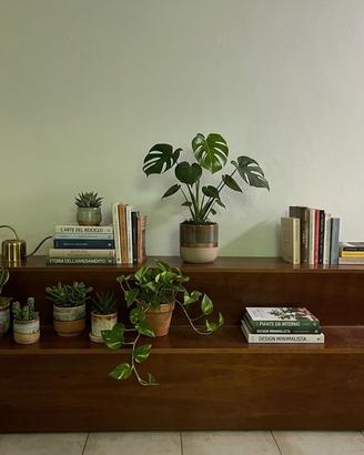 Set Panche Espositori in Legno con Rotelle