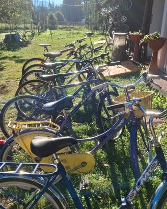 bici vari modelli