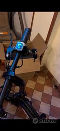 Bici elettica dolphin 36v 250w con acceleratore