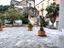Immagine 11