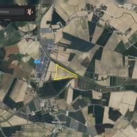 13 ettari terreno agricolo presso po di volano