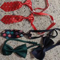 cravatte e papillon per animali domestici 