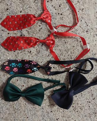 cravatte e papillon per animali domestici 