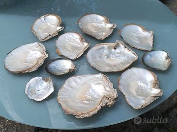 conchiglia madreperla vintage