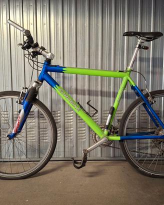 Bicicletta Mtb