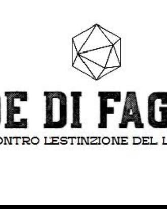 Svuotalibrerie - RITIRO GRATUITO Libri a domicilio