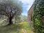 Immagine 10