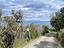 Immagine 8